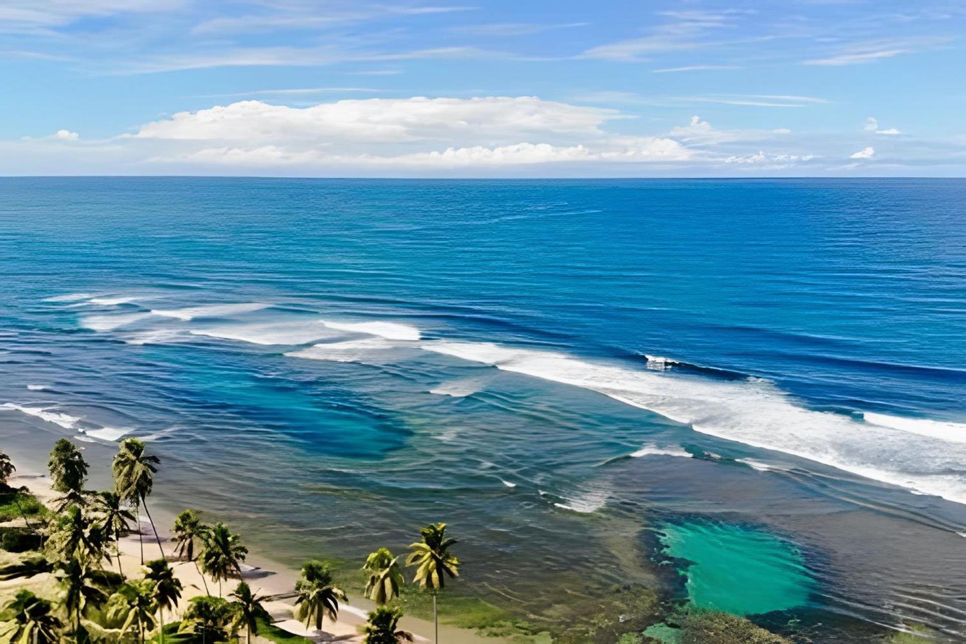 Praia Do Forte Apartamento Fantastico エクステリア 写真