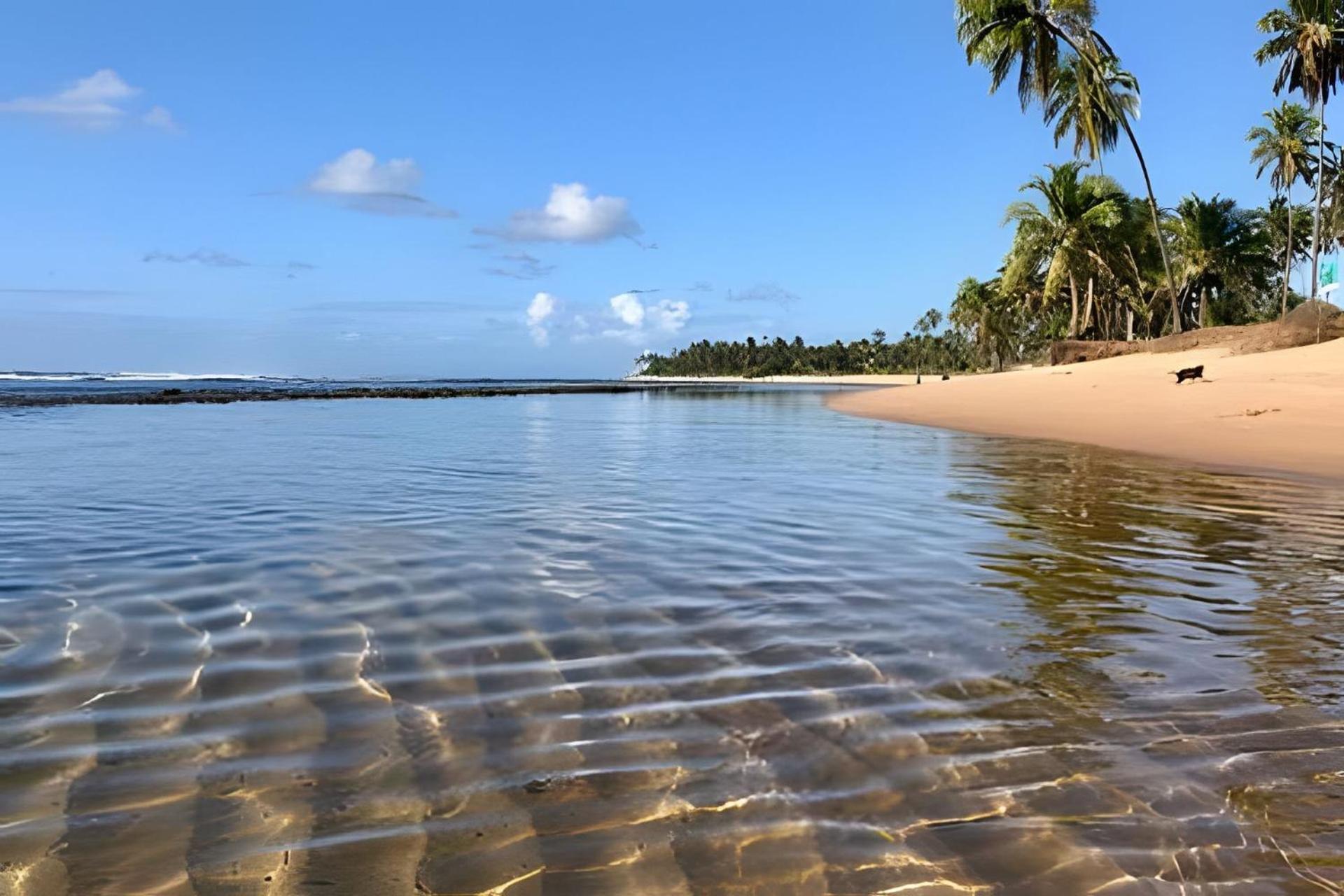 Praia Do Forte Apartamento Fantastico エクステリア 写真