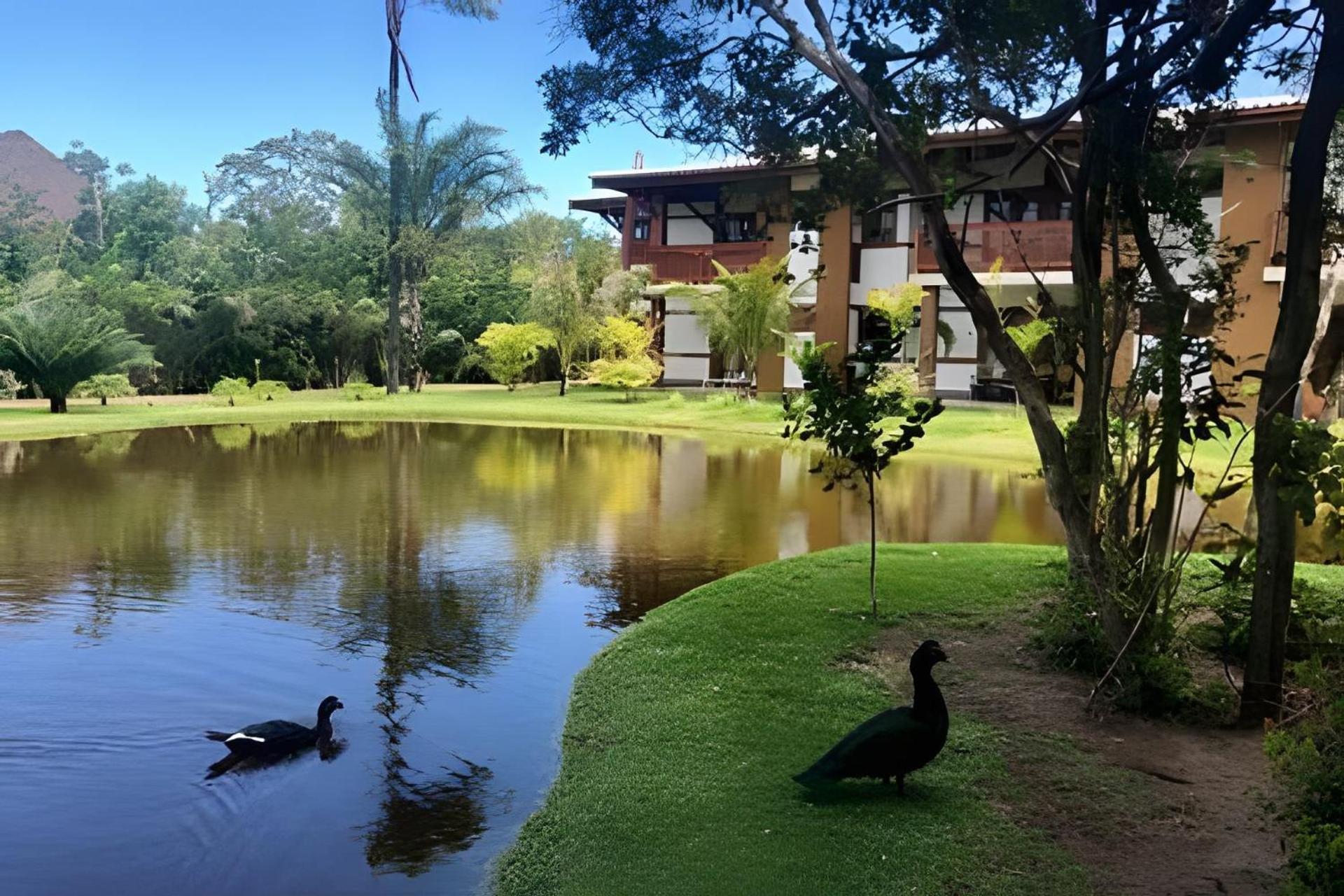 Praia Do Forte Apartamento Fantastico エクステリア 写真