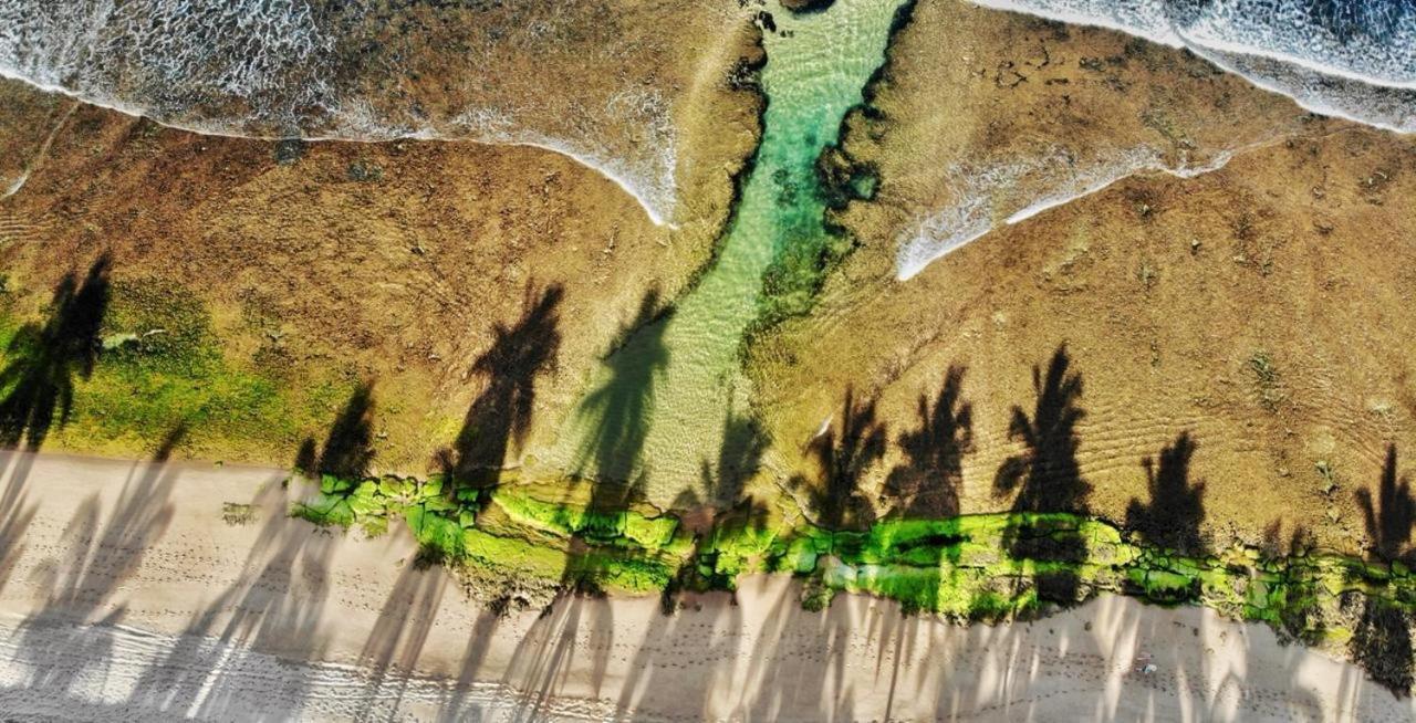 Praia Do Forte Apartamento Fantastico エクステリア 写真